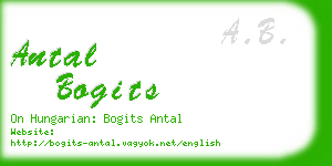 antal bogits business card